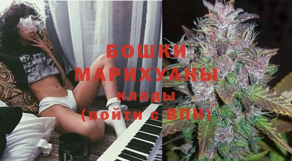 гидропоника Алзамай