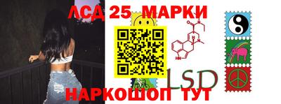 крисы Беслан