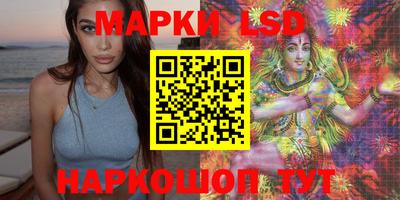 крисы Беслан