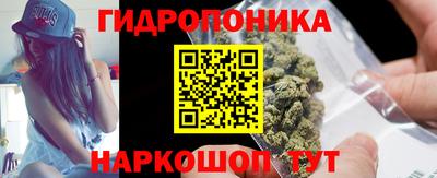 крисы Беслан