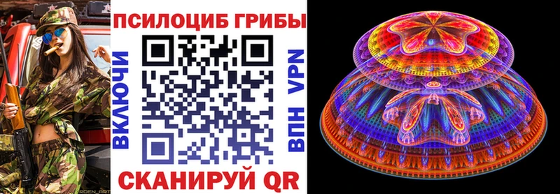 Галлюциногенные грибы Psilocybe  MEGA ссылки  darknet формула  Качканар 
