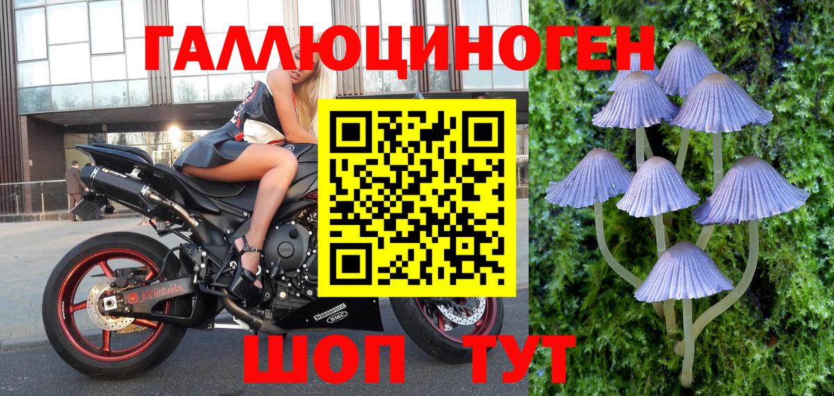 Качканар  Галлюциногенные грибы мицелий  Вход с VPN  Галлюциногенные грибы ЛСД 
