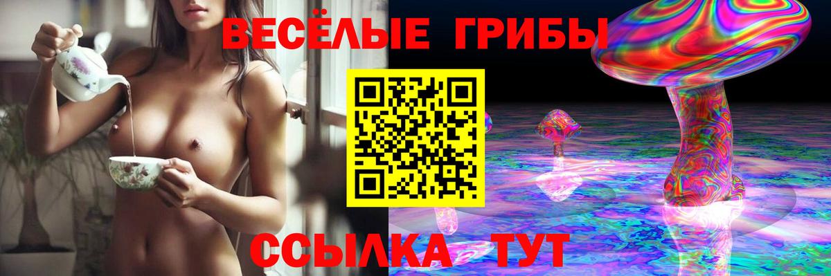 Галлюциногенные грибы ЛСД Качканар
