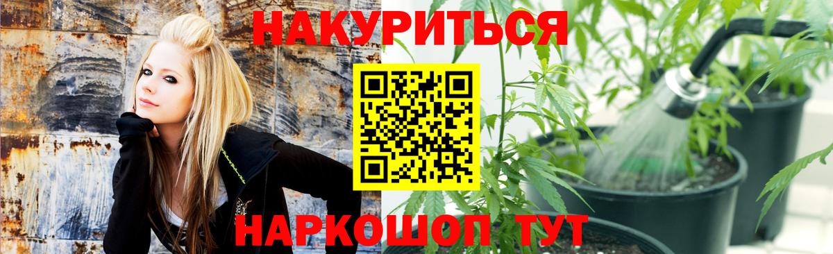 Конопля индика Качканар
